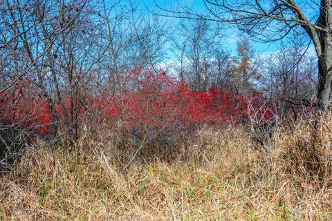 Tiny photo for 72 Ac. Czech Drive, Berlin, WI 54923 (MLS # 1993014)
