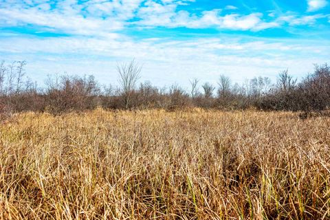 Tiny photo for 72 Ac. Czech Drive, Berlin, WI 54923 (MLS # 1993014)