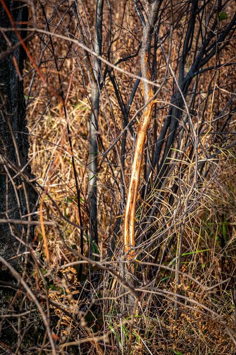 Tiny photo for 72 Ac. Czech Drive, Berlin, WI 54923 (MLS # 1993014)