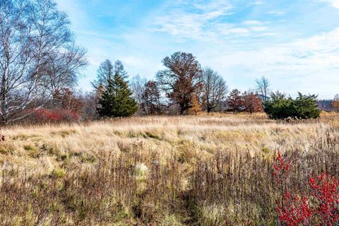 Tiny photo for 72 Ac. Czech Drive, Berlin, WI 54923 (MLS # 1993014)