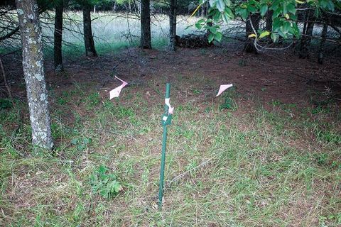 Tiny photo for 772 Duck Creek Avenue, Grand Marsh, WI 53936 (MLS # 2007765)