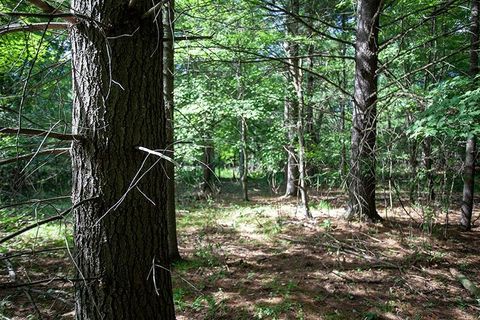Tiny photo for 772 Duck Creek Avenue, Grand Marsh, WI 53936 (MLS # 2007765)