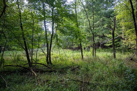 Tiny photo for 772 Duck Creek Avenue, Grand Marsh, WI 53936 (MLS # 2007765)