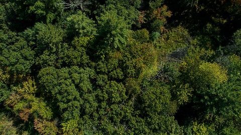 Tiny photo for 772 Duck Creek Avenue, Grand Marsh, WI 53936 (MLS # 2007765)