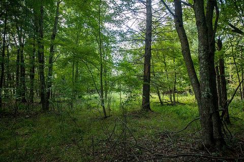 Tiny photo for 772 Duck Creek Avenue, Grand Marsh, WI 53936 (MLS # 2007765)