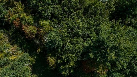 Tiny photo for 772 Duck Creek Avenue, Grand Marsh, WI 53936 (MLS # 2007765)