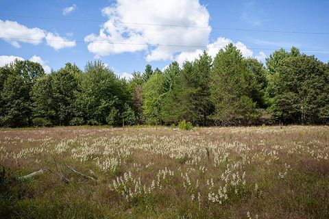 Tiny photo for 772 Duck Creek Avenue, Grand Marsh, WI 53936 (MLS # 2007765)