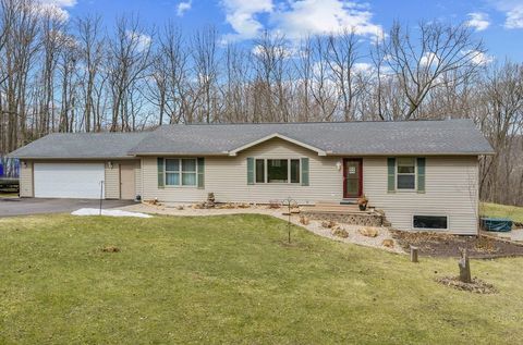 Photo of S1717 Blue Ridge Drive, La Valle, WI 53941 (MLS # 2019478)