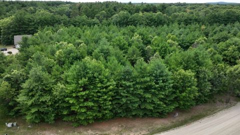 Tiny photo for Lot 15 Sandy Pines Court, Redgranite, WI 54970 (MLS # 1960393)