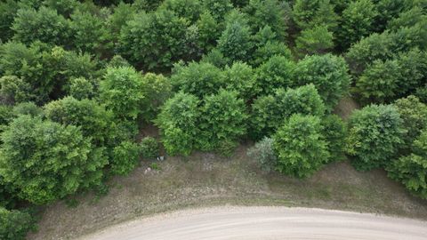Tiny photo for Lot 15 Sandy Pines Court, Redgranite, WI 54970 (MLS # 1960393)