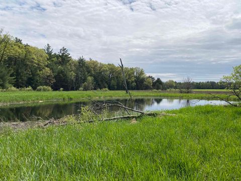 Photo of W8949 HWY 21 Road, Wautoma, WI 54982 (MLS # 2024109)