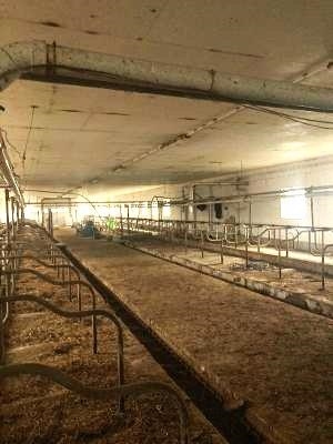 7284 W Sullivan Lane