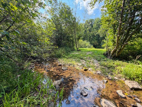 Photo of 0000 Bachelors Avenue, Greenwood, WI 54437 (MLS # 2031033)