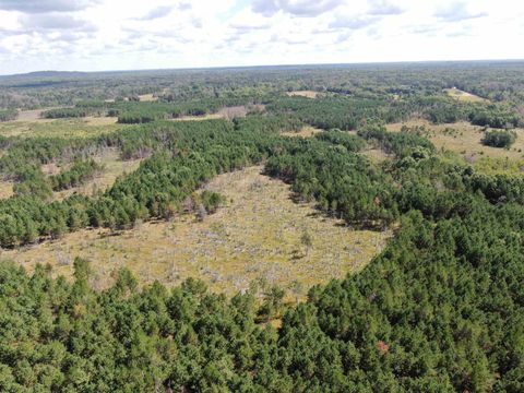 Tiny photo for 80 AC 13th Ct Acres, Nekoosa, WI 54457 (MLS # 2009953)
