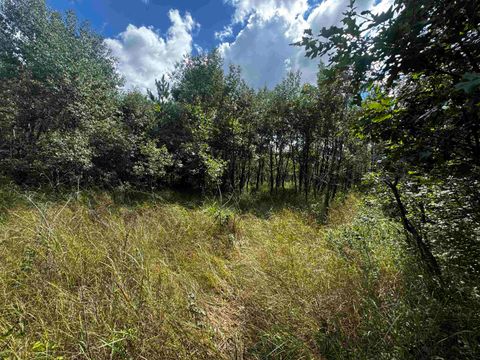 Tiny photo for 80 AC 13th Ct Acres, Nekoosa, WI 54457 (MLS # 2009953)