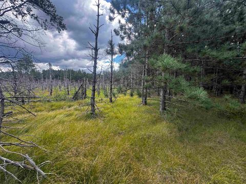 Tiny photo for 80 AC 13th Ct Acres, Nekoosa, WI 54457 (MLS # 2009953)