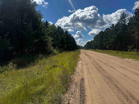 Tiny photo for 80 AC 13th Ct Acres, Nekoosa, WI 54457 (MLS # 2009953)