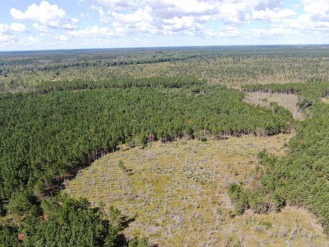 Tiny photo for 80 AC 13th Ct Acres, Nekoosa, WI 54457 (MLS # 2009953)