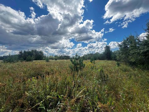 Tiny photo for 80 AC 13th Ct Acres, Nekoosa, WI 54457 (MLS # 2009953)