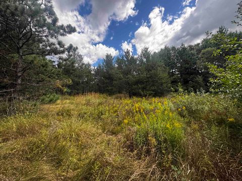 Tiny photo for 80 AC 13th Ct Acres, Nekoosa, WI 54457 (MLS # 2009953)