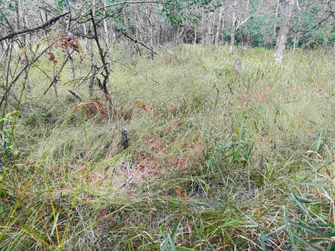 Tiny photo for 80 AC 13th Ct Acres, Nekoosa, WI 54457 (MLS # 2009953)