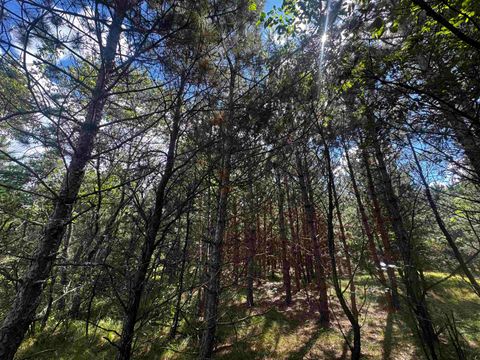 Tiny photo for 80 AC 13th Ct Acres, Nekoosa, WI 54457 (MLS # 2009953)