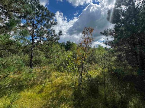 Tiny photo for 80 AC 13th Ct Acres, Nekoosa, WI 54457 (MLS # 2009953)