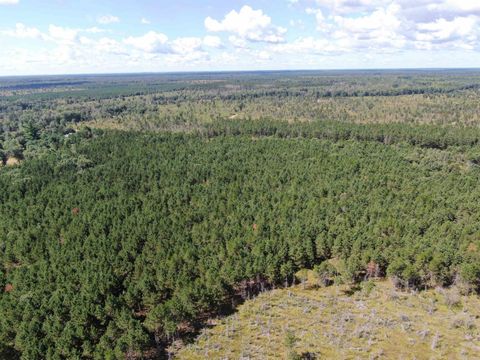 Tiny photo for 80 AC 13th Ct Acres, Nekoosa, WI 54457 (MLS # 2009953)
