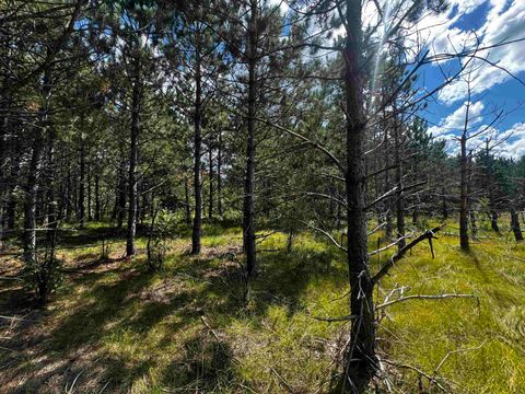 Tiny photo for 80 AC 13th Ct Acres, Nekoosa, WI 54457 (MLS # 2009953)