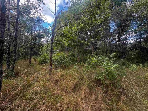 Tiny photo for 80 AC 13th Ct Acres, Nekoosa, WI 54457 (MLS # 2009953)
