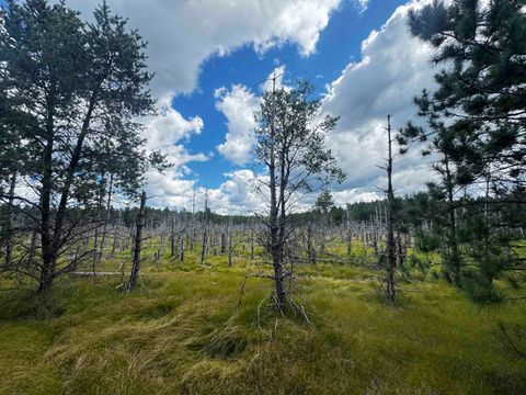 Tiny photo for 80 AC 13th Ct Acres, Nekoosa, WI 54457 (MLS # 2009953)