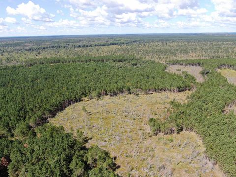Tiny photo for 80 AC 13th Ct Acres, Nekoosa, WI 54457 (MLS # 2009953)