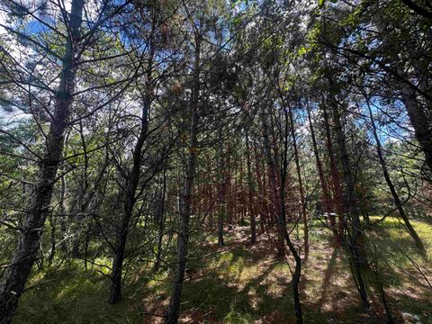 Tiny photo for 80 AC 13th Ct Acres, Nekoosa, WI 54457 (MLS # 2009953)