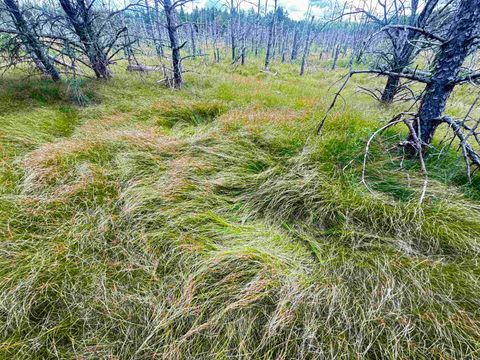 Tiny photo for 80 AC 13th Ct Acres, Nekoosa, WI 54457 (MLS # 2009953)