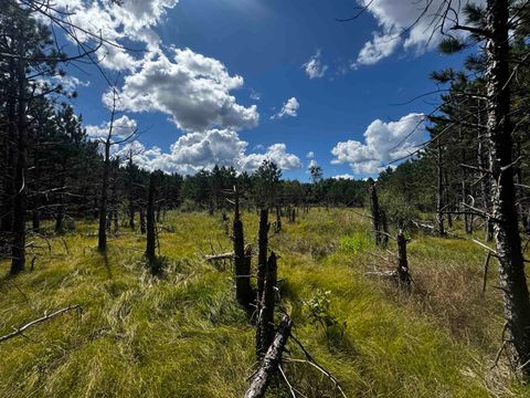 Tiny photo for 80 AC 13th Ct Acres, Nekoosa, WI 54457 (MLS # 2009953)