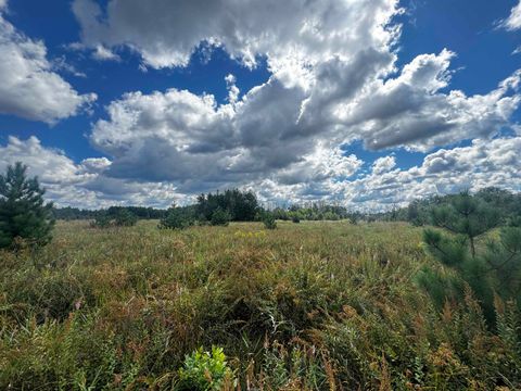 Tiny photo for 80 AC 13th Ct Acres, Nekoosa, WI 54457 (MLS # 2009953)