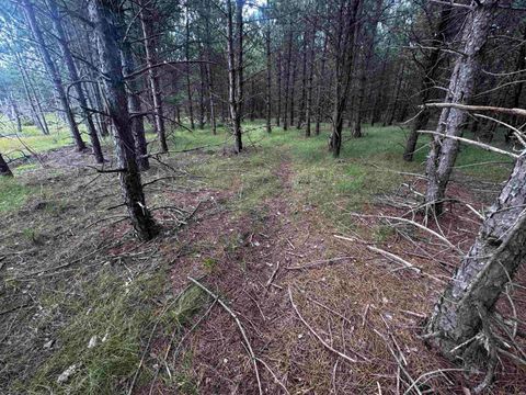 Tiny photo for 80 AC 13th Ct Acres, Nekoosa, WI 54457 (MLS # 2009953)