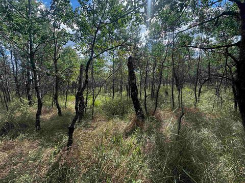 Tiny photo for 80 AC 13th Ct Acres, Nekoosa, WI 54457 (MLS # 2009953)