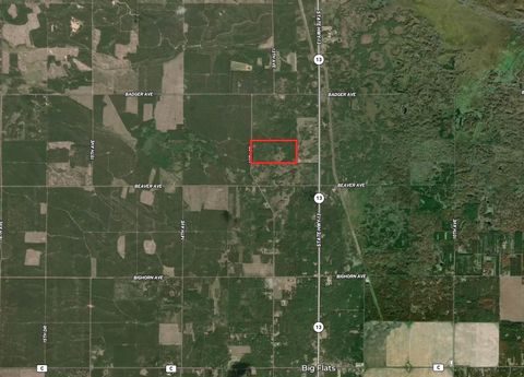 Tiny photo for 80 AC 13th Ct Acres, Nekoosa, WI 54457 (MLS # 2009953)