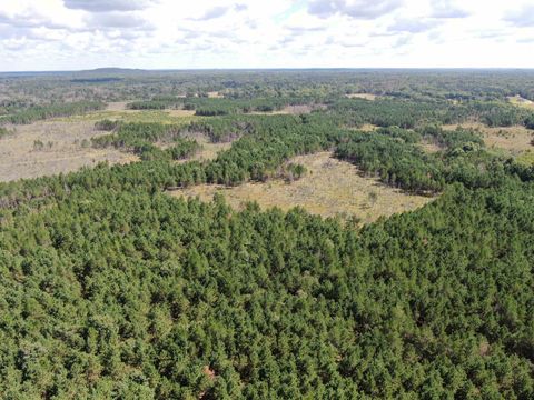 Tiny photo for 80 AC 13th Ct Acres, Nekoosa, WI 54457 (MLS # 2009953)