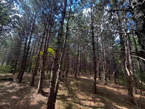 Tiny photo for 80 AC 13th Ct Acres, Nekoosa, WI 54457 (MLS # 2009953)