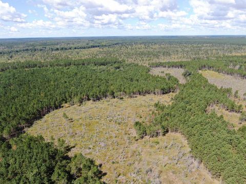 Tiny photo for 80 AC 13th Ct Acres, Nekoosa, WI 54457 (MLS # 2009953)