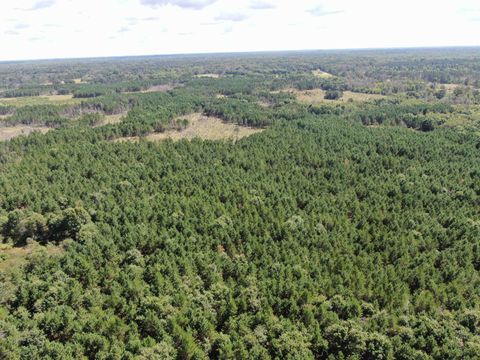 Tiny photo for 80 AC 13th Ct Acres, Nekoosa, WI 54457 (MLS # 2009953)