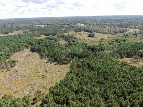 Tiny photo for 80 AC 13th Ct Acres, Nekoosa, WI 54457 (MLS # 2009953)