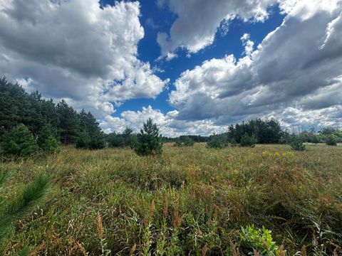 Tiny photo for 80 AC 13th Ct Acres, Nekoosa, WI 54457 (MLS # 2009953)