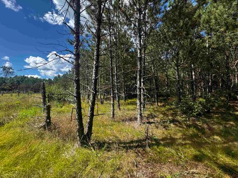 Tiny photo for 80 AC 13th Ct Acres, Nekoosa, WI 54457 (MLS # 2009953)