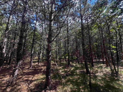 Tiny photo for 80 AC 13th Ct Acres, Nekoosa, WI 54457 (MLS # 2009953)
