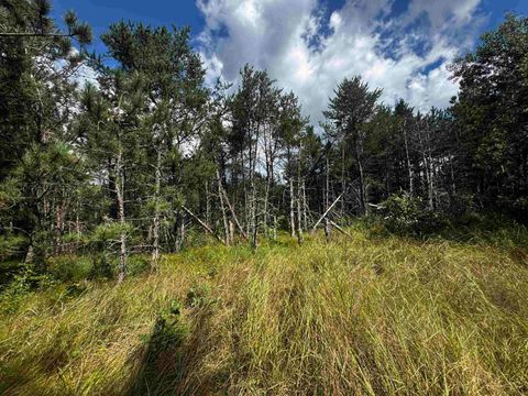 Tiny photo for 80 AC 13th Ct Acres, Nekoosa, WI 54457 (MLS # 2009953)