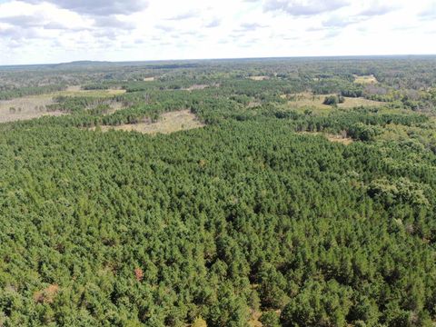 Tiny photo for 80 AC 13th Ct Acres, Nekoosa, WI 54457 (MLS # 2009953)