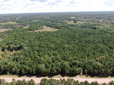 Photo of 80 AC 13th Ct Acres, Nekoosa, WI 54457 (MLS # 2009953)